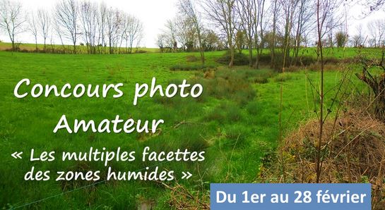 concours photo amateur les multiples facettes des zones humides