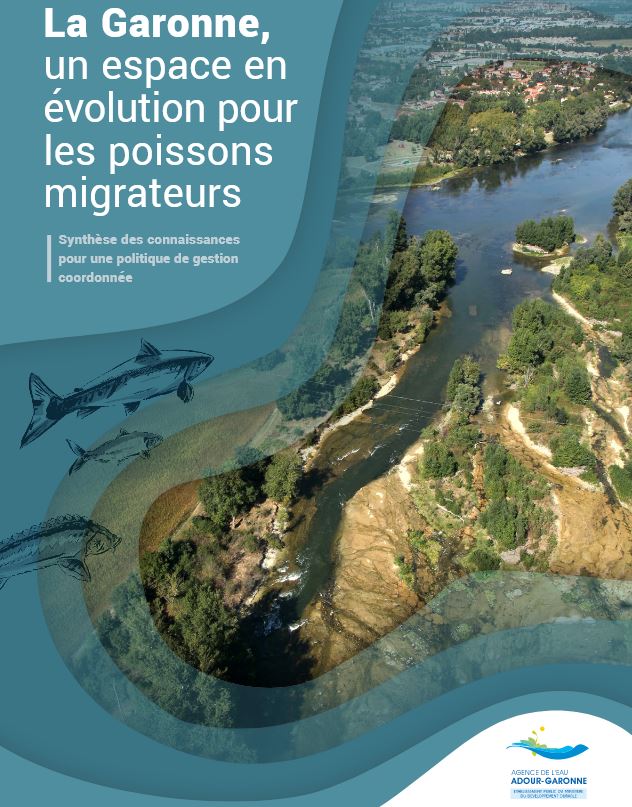 Page de garde de la synthèse des connaissances pour une politique de gestion coordonnée. Le titre du document est "La Garonne, un espace en évolution pour les poissons migrateurs". Sur le visuel nous voyons une photo d'un paysage avec une rivière, des habitations et des arbres ainsi que des dessins de poissons. 