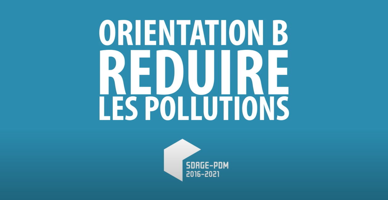 Afficher la vidéo Réduire les pollutions : 