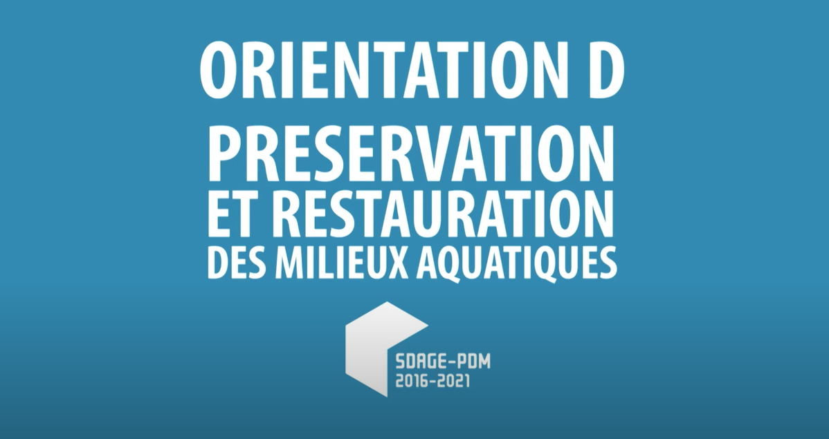 Afficher la vidéo Préserver et restaurer les milieux aquatiques