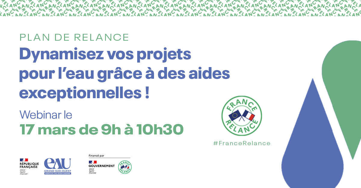 Afficher la vidéo Webinaire Plan de Relance 17 mars