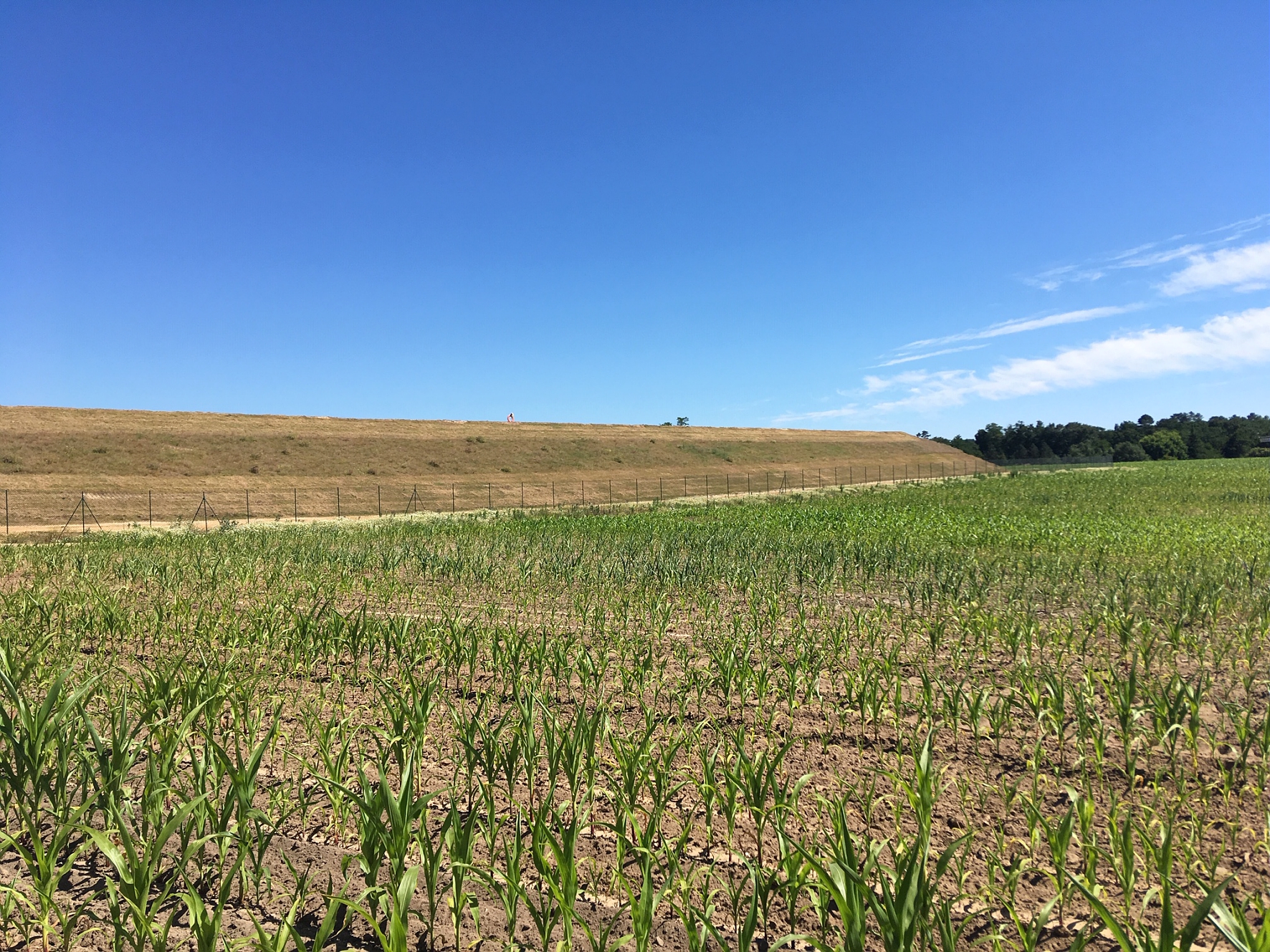 Image irrigation agricole