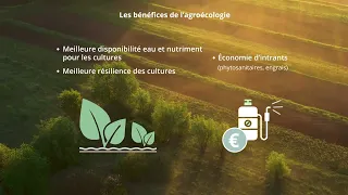 Afficher la vidéo Les bénéfices de l'agroécologie