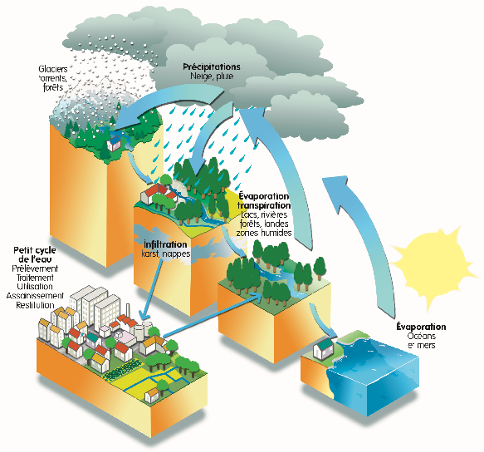 Schéma du cycle de l'eau