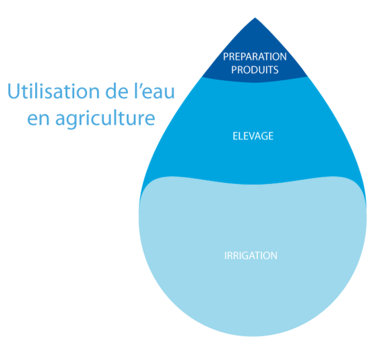 Répartition de l'utilisation de l'eau en agriculture : l'irrigation représente la moitié, suivi de l'élevage environ 1/3 et de la préparation des produits
